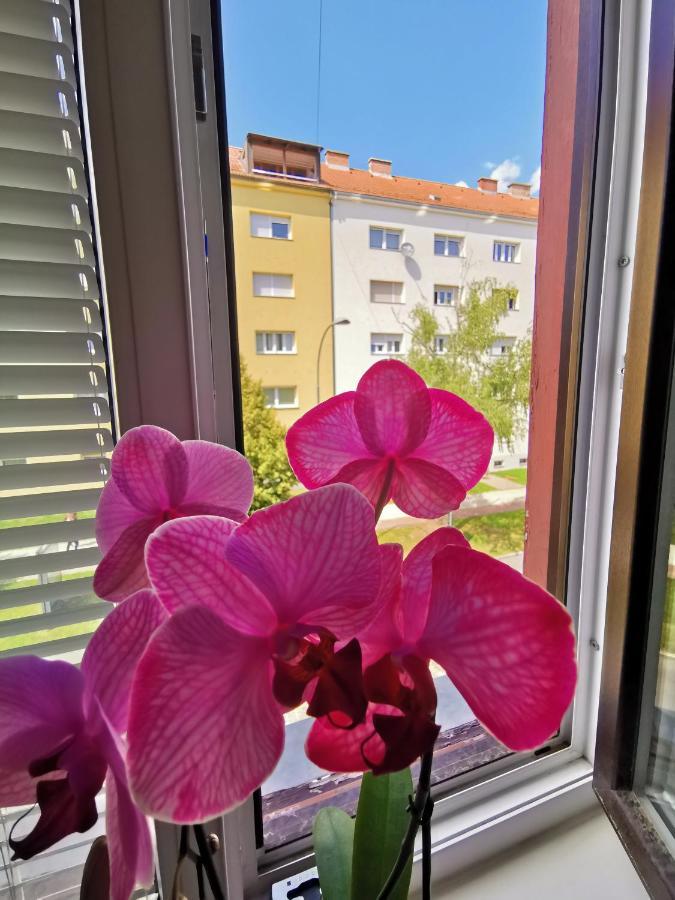 Apartma Mb-Center Maribor Buitenkant foto
